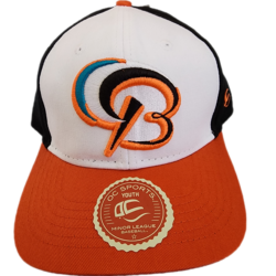Coed Sportswear Men's Adley Rutschman Orange Baltimore Orioles Graffiti Player Graphic T-Shirt Size: Small